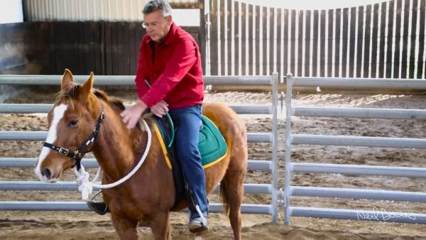 Starting a Horse Under Saddle Online Clinic - Image 5