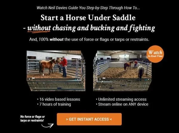 Starting a Horse Under Saddle Online Clinic