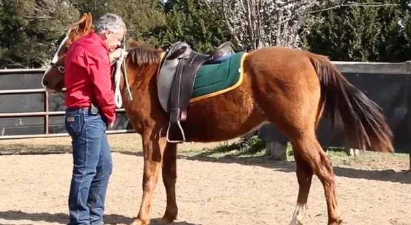 Starting a Horse Under Saddle Online Clinic - Image 3